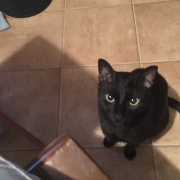 Meet your Posher, Wendie - Picture 2 of 9